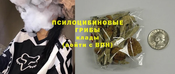 молекула духа Алзамай