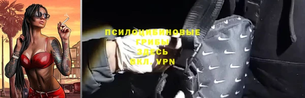 молекула духа Алзамай