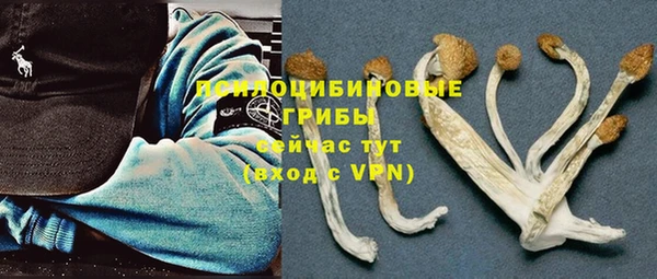 ГАЛЛЮЦИНОГЕННЫЕ ГРИБЫ Алексеевка