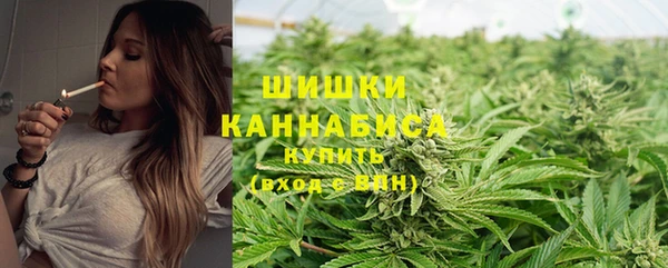 бошки Алексин