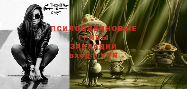 ГАЛЛЮЦИНОГЕННЫЕ ГРИБЫ Алексеевка