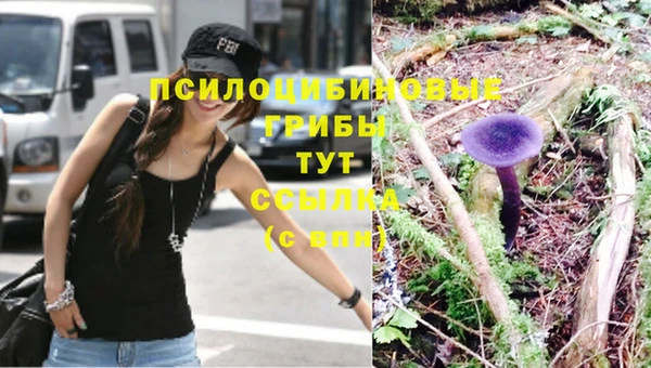ГАЛЛЮЦИНОГЕННЫЕ ГРИБЫ Алексеевка