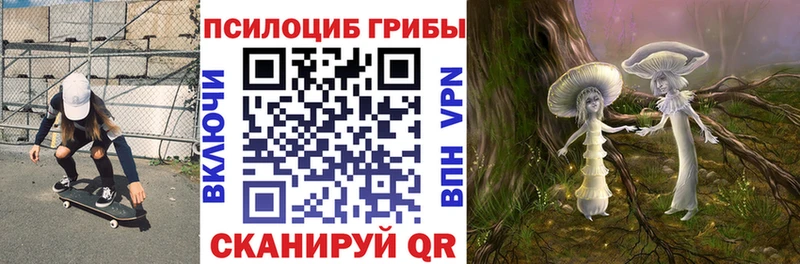 Псилоцибиновые грибы Cubensis  Выкса 